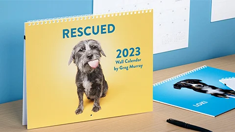 lulu create custom calendars